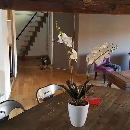 Apartamento En Vieille Ville